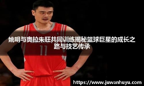 姚明与奥拉朱旺共同训练揭秘篮球巨星的成长之路与技艺传承